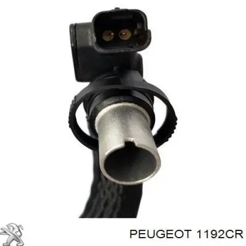 1192CR Peugeot/Citroen патрубок вентиляції картера, масловіддільника