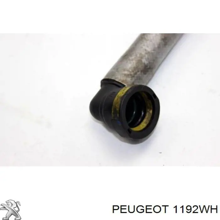 1192WH Peugeot/Citroen патрубок вентиляції картера, масловіддільника