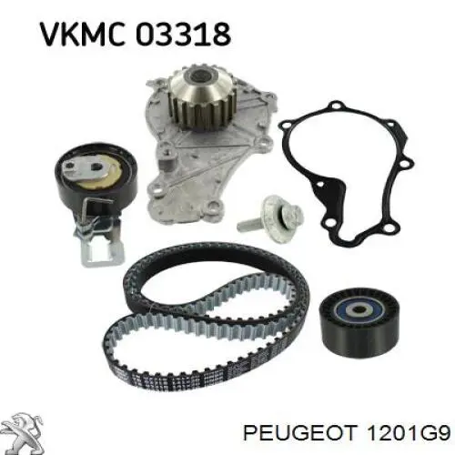 Купити 1201G9 Peugeot/Citroen Насос охолоджуючої рідини