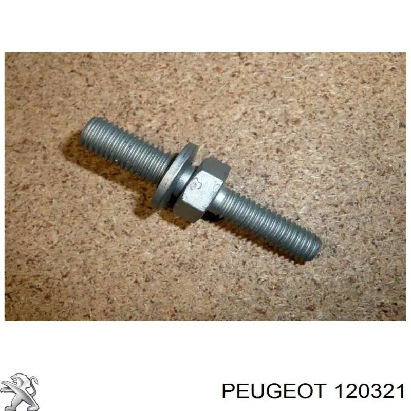  120321 Peugeot/Citroen