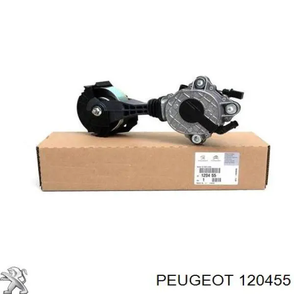 Купити 120455 Peugeot/Citroen Натягувач приводного ременя