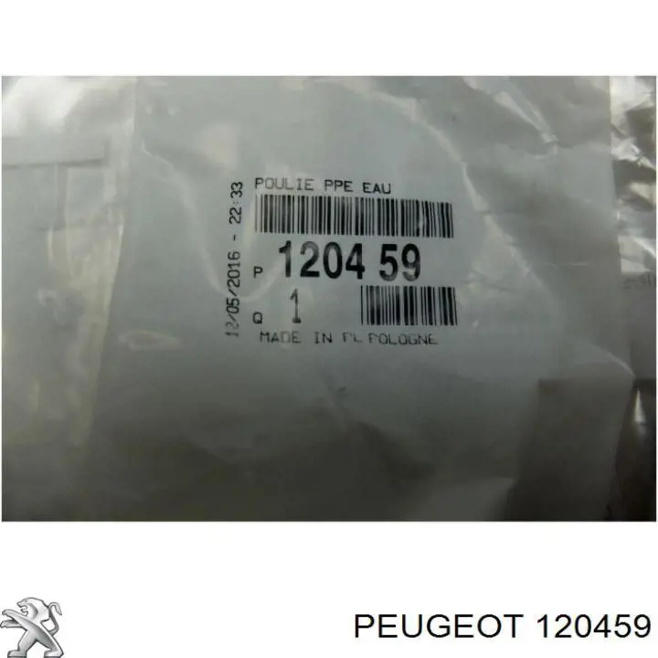 120459 Peugeot/Citroen Шків водяного насоса