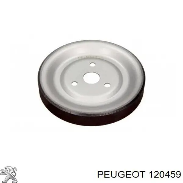 Шків водяної помпи Peugeot/Citroen 120459