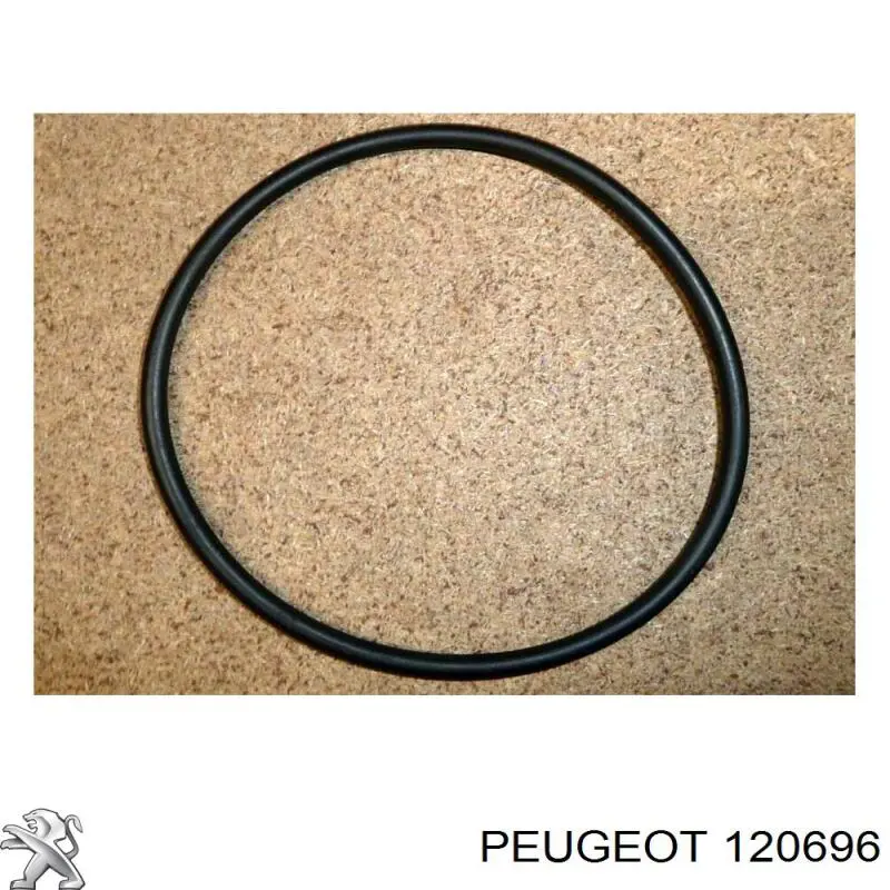 Купити 120696 Peugeot/Citroen Прокладка водяної помпи