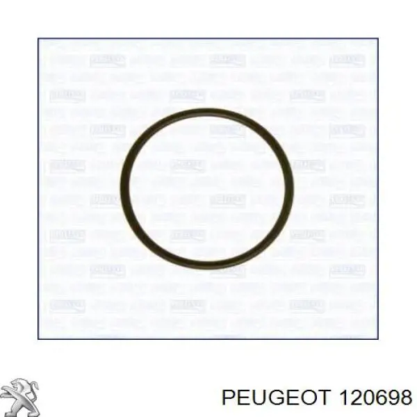 Купити 120698 Peugeot/Citroen Фланець системи охолодження (трійник)