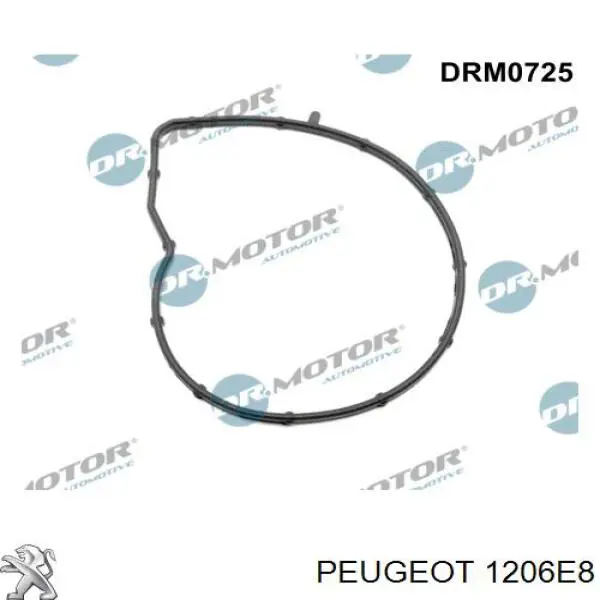 1206E8 Peugeot/Citroen Прокладка водяної помпи