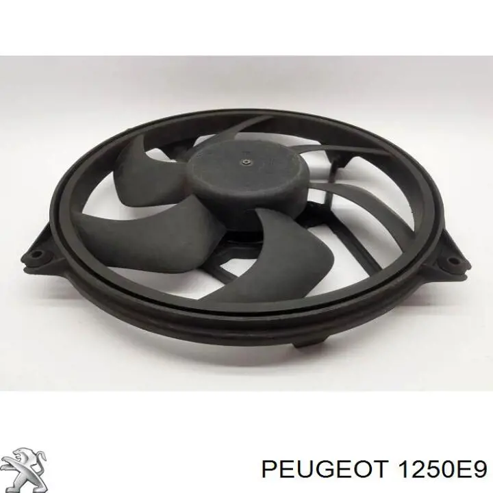 1250E9 Peugeot/Citroen електровентилятор охолодження в зборі (двигун + крильчатка)