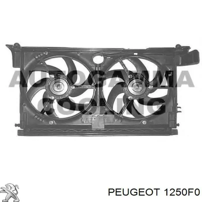 1250F0 Peugeot/Citroen електровентилятор охолодження в зборі (двигун + крильчатка)