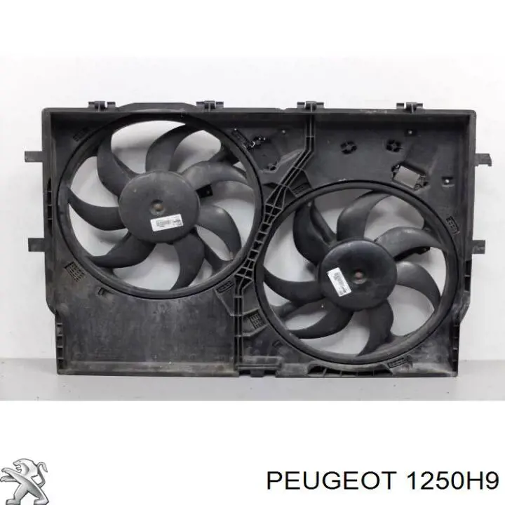 Купити 1250H9 Peugeot/Citroen Дифузор радіатора охолодження, в зборі з двигуном і крильчаткою