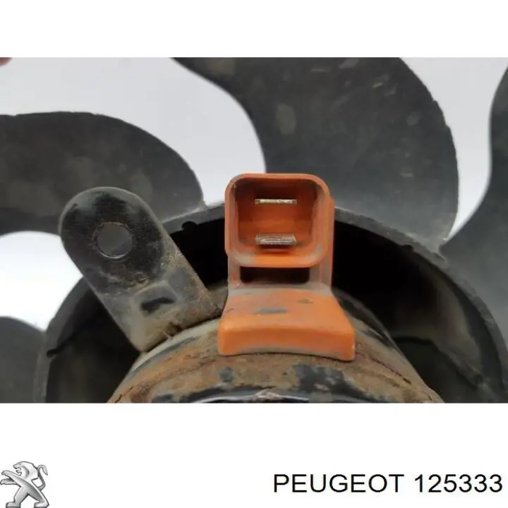  125333 Peugeot/Citroen