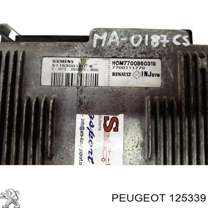 125339 Peugeot/Citroen дифузор радіатора охолодження, в зборі з двигуном і крильчаткою