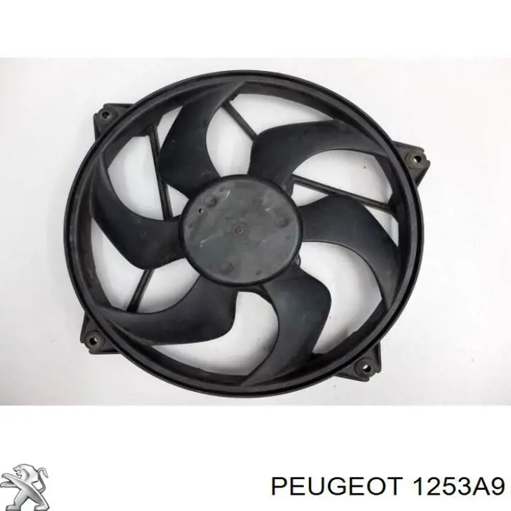 Купити 1253A9 Peugeot/Citroen Електровентилятор охолодження в зборі (двигун + крильчатка)