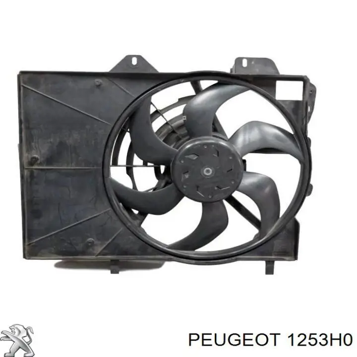 1253H0 Peugeot/Citroen електровентилятор охолодження в зборі (двигун + крильчатка)