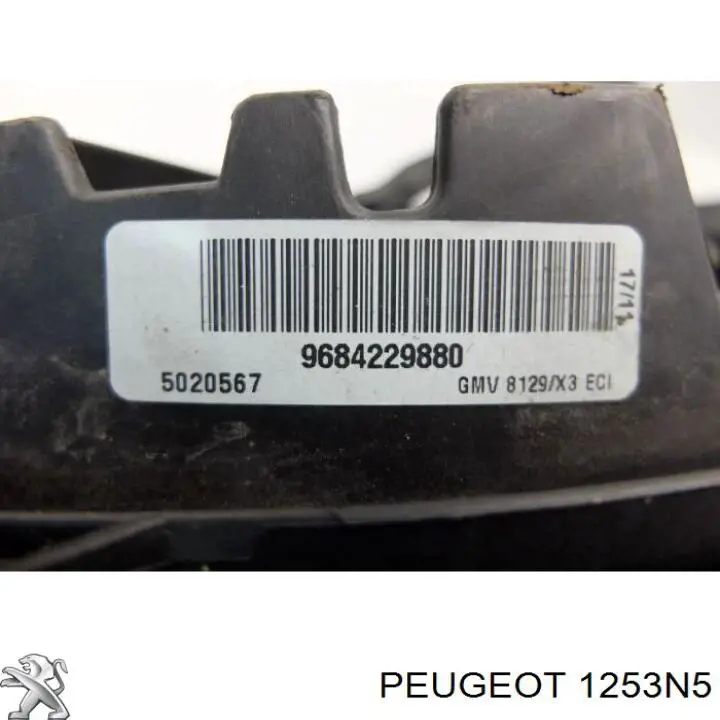 1253N5 Peugeot/Citroen Електровентилятор радіатора