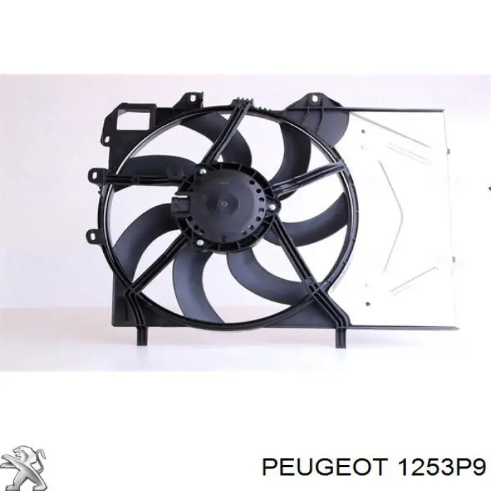 Купити 1253P9 Peugeot/Citroen Дифузор радіатора охолодження, в зборі з двигуном і крильчаткою