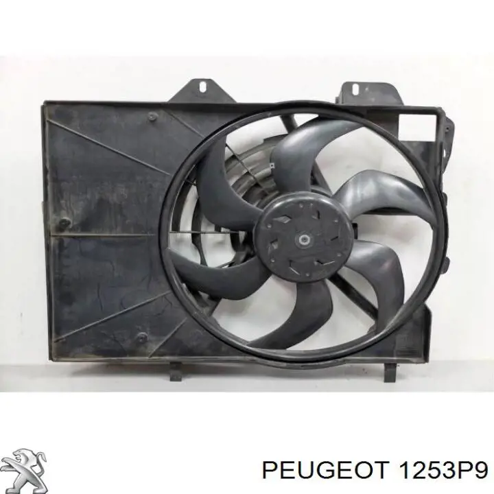 1253P9 Peugeot/Citroen дифузор радіатора охолодження, в зборі з двигуном і крильчаткою