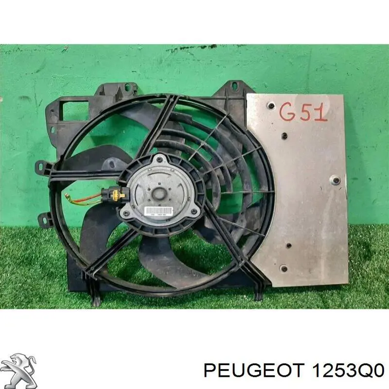 Купити D8P019TT Thermotec Електровентилятор охолодження в зборі (двигун + крильчатка)