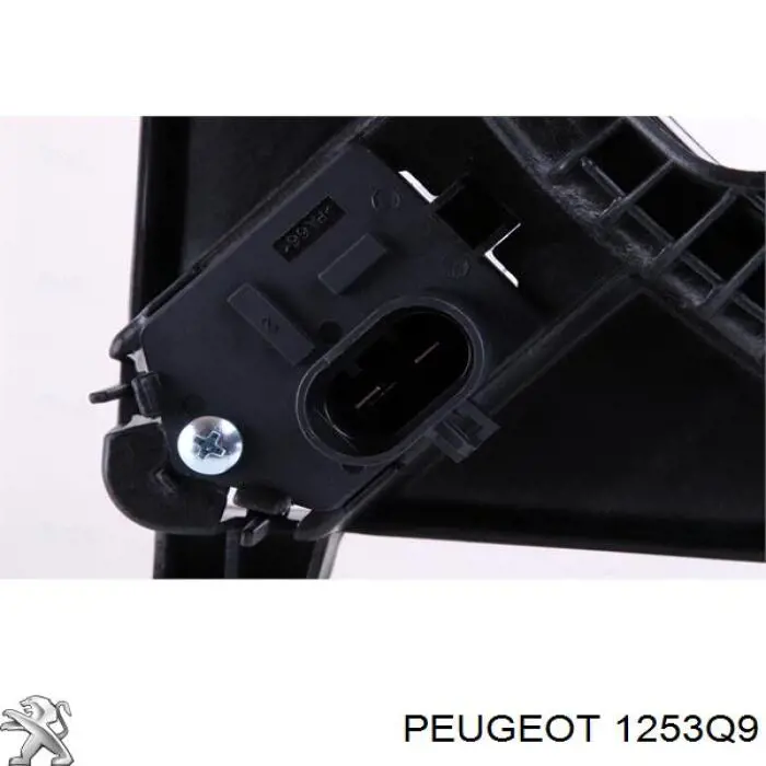 1253P3 Peugeot/Citroen Дифузор радіатора охолодження, в зборі з мотором і крильчаткою