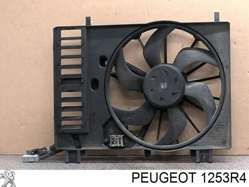 1253R4 Peugeot/Citroen дифузор радіатора охолодження, в зборі з двигуном і крильчаткою