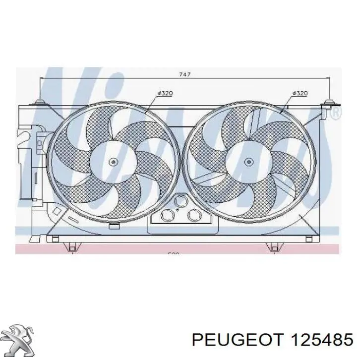  0000125485 Peugeot/Citroen