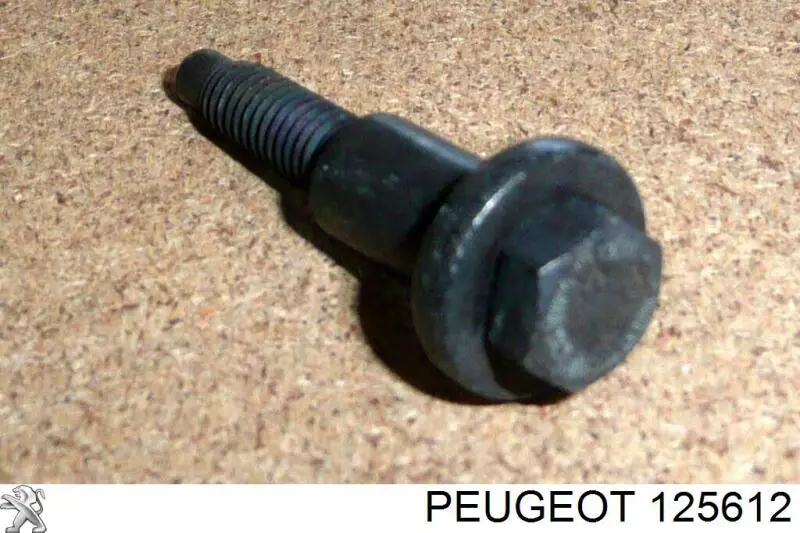 125612 Peugeot/Citroen 