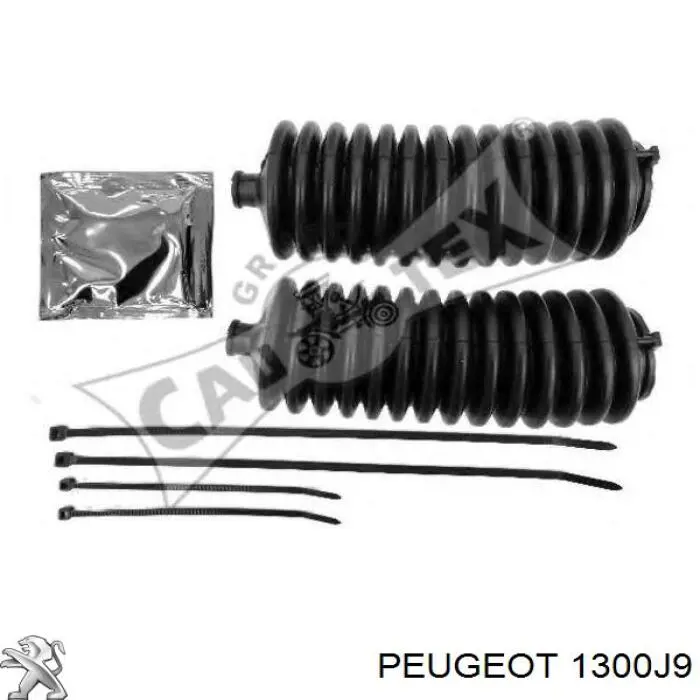1300J9 Peugeot/Citroen Радіатор охолодження двигуна