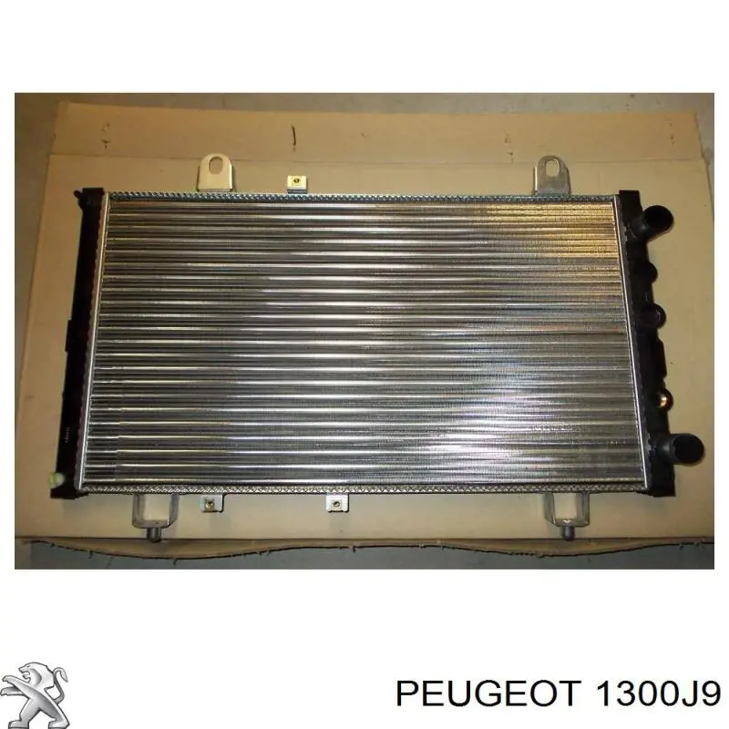 Радіатор основний Peugeot/Citroen 1300J9 ціна, від 65.54 USD