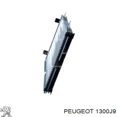 Купити 1300J9 Peugeot/Citroen Радіатор двигуна