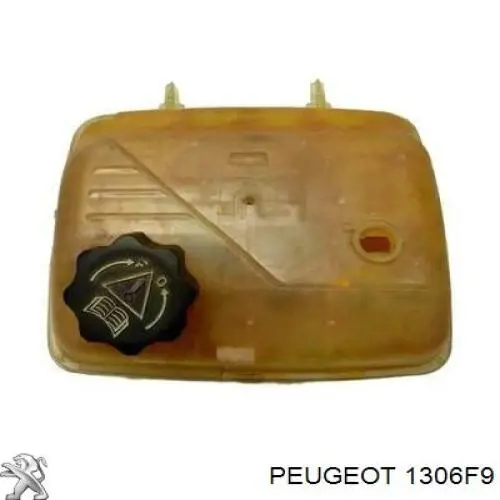 1306F9 Peugeot/Citroen 