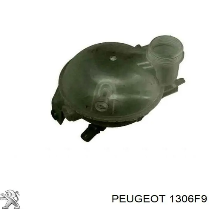1306F9 Peugeot/Citroen 