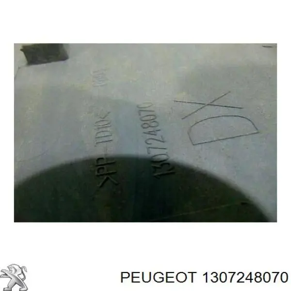Купити 1307248070 Peugeot/Citroen Молдинг бічний (зсувний) двері