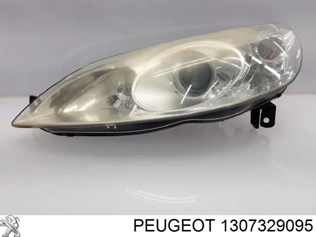 Купити 1307329095 Peugeot/Citroen 