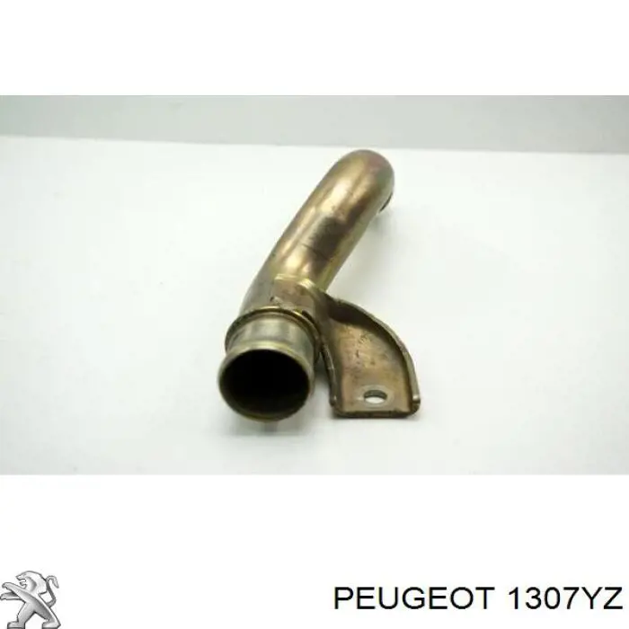 Купити 1307YZ Peugeot/Citroen Трубопроводи і шланги системи охолодження