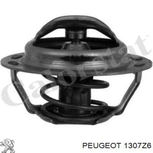 Купити 1307Z6 Peugeot/Citroen Трубопроводи і шланги системи охолодження