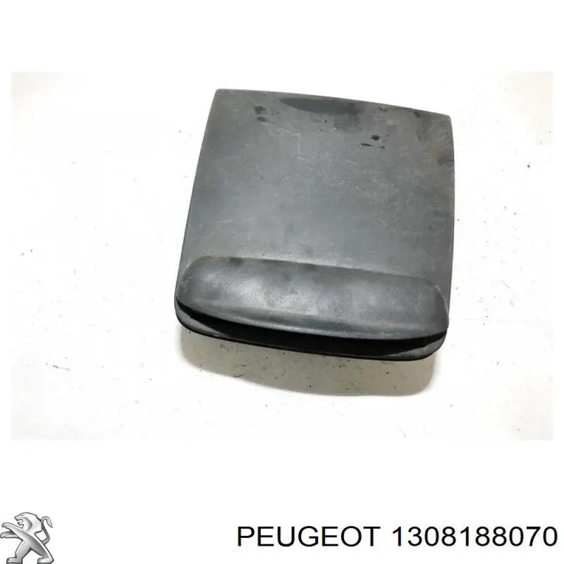 1308188070 Peugeot/Citroen 