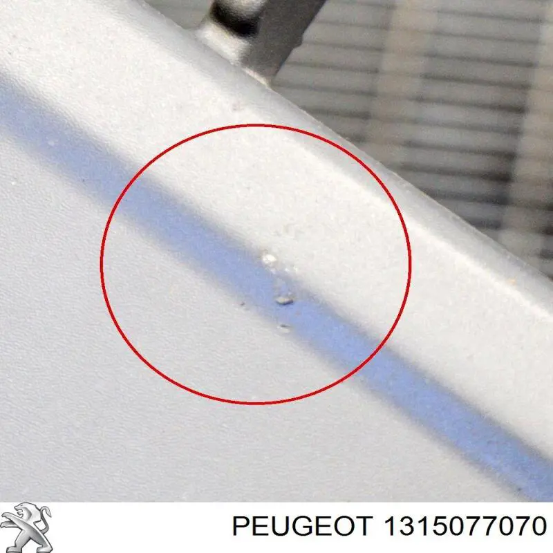 1315077070 Peugeot/Citroen Центр переднього бампера