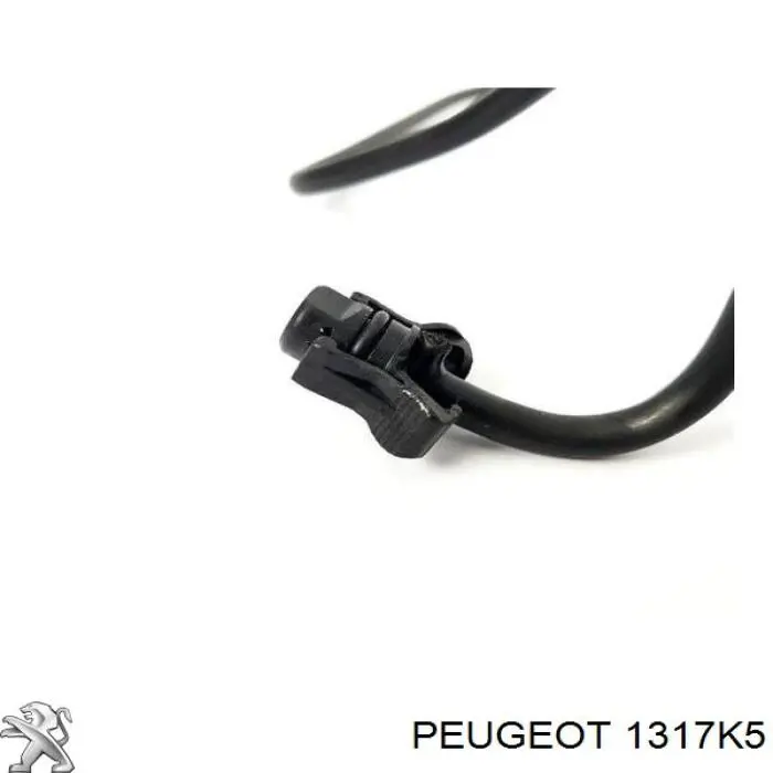 Купити 1317K5 Peugeot/Citroen Шланг розширювального бачка, нижній
