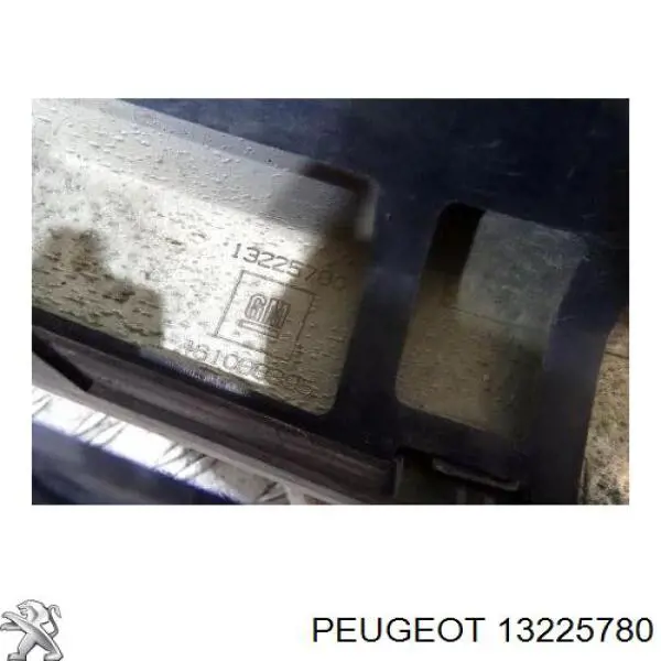 Купити 5510051X Polcar Захисна решітка радіатора
