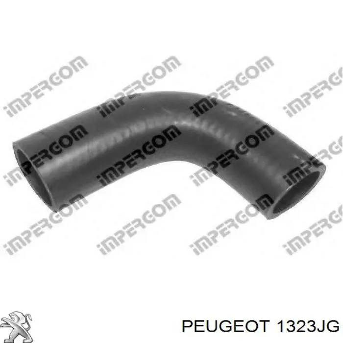 Шланг (патрубок) термостата Peugeot/Citroen 1323JG ціна, від 5.02 USD