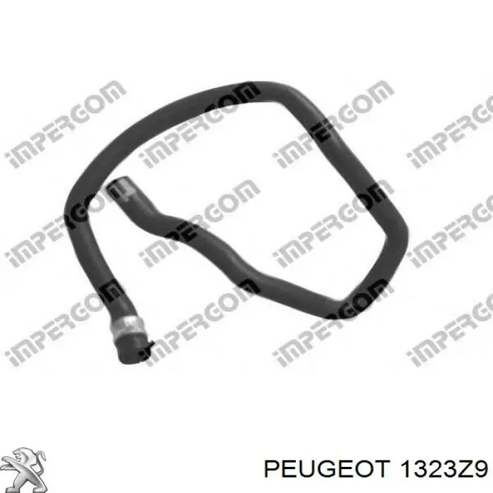 Купити 1323Z9 Peugeot/Citroen Шланг розширювального бачка, верхній
