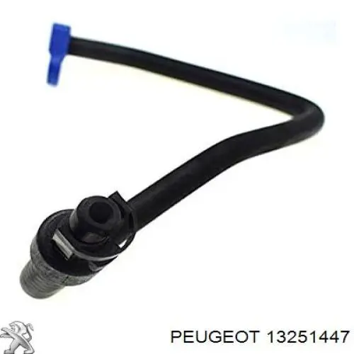 Купити 13251447 Peugeot/Citroen Шланг розширювального бачка, верхній