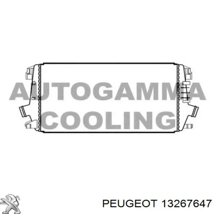 Радіатор интеркуллера 13267647 Peugeot/Citroen