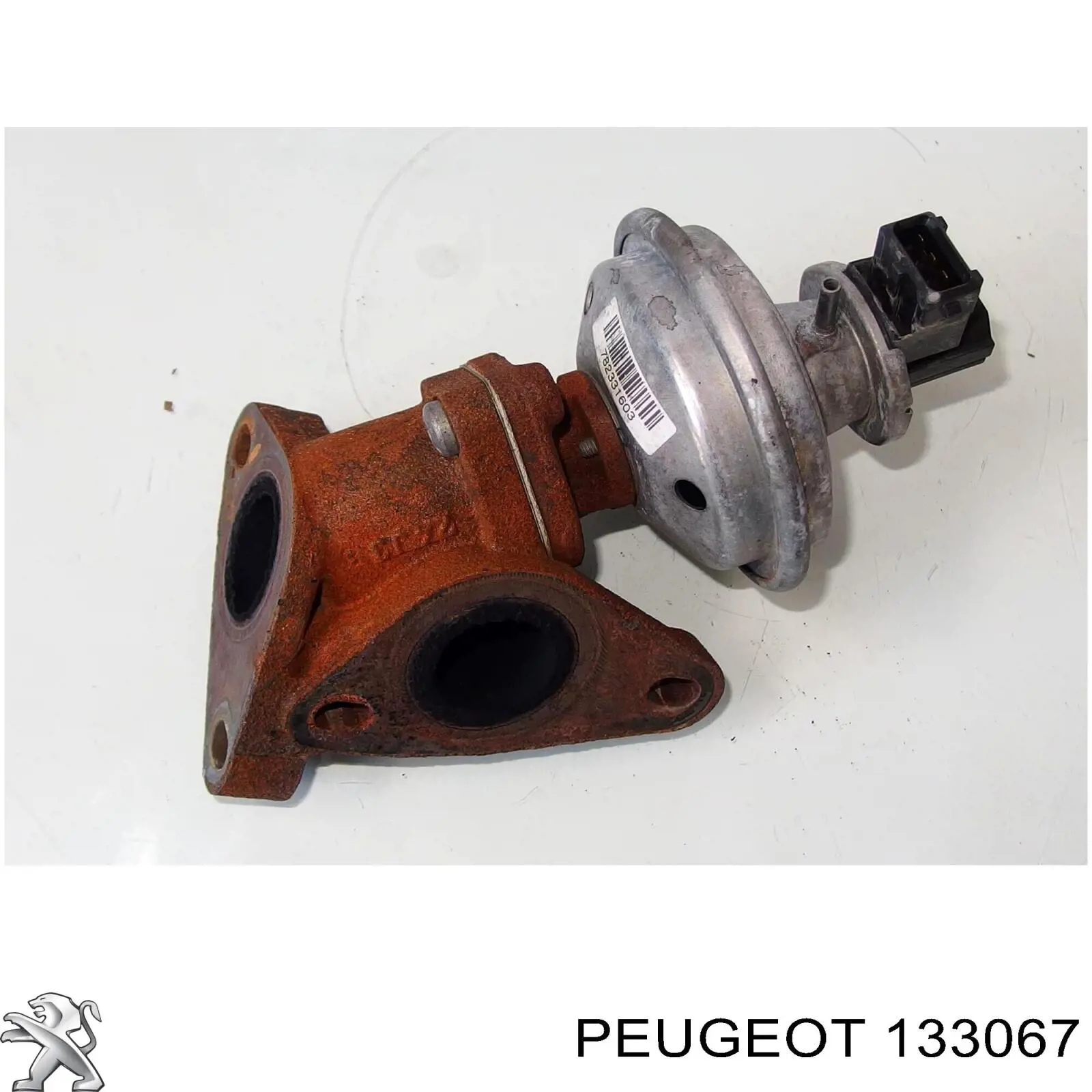 133067 Peugeot/Citroen Радіатор охолодження двигуна