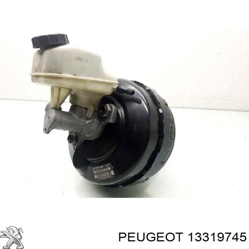13319745 Peugeot/Citroen 