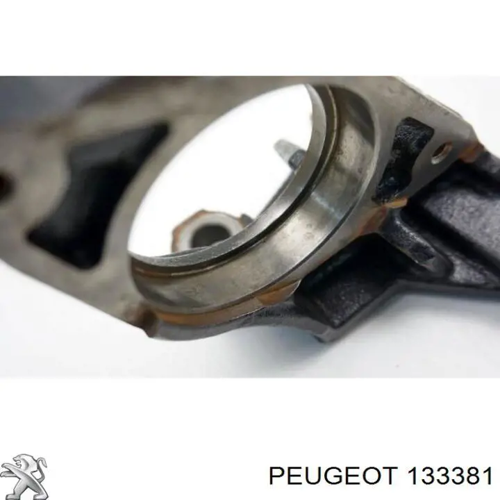 Радіатор охолодження двигуна 133381 Peugeot/Citroen