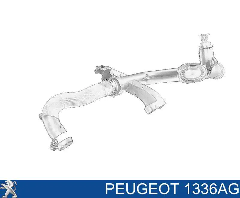 Купити 1336AG Peugeot/Citroen Трубопроводи і шланги системи охолодження