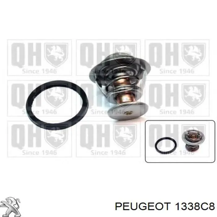 Купити 134163 Peugeot/Citroen Термостат в корпусі
