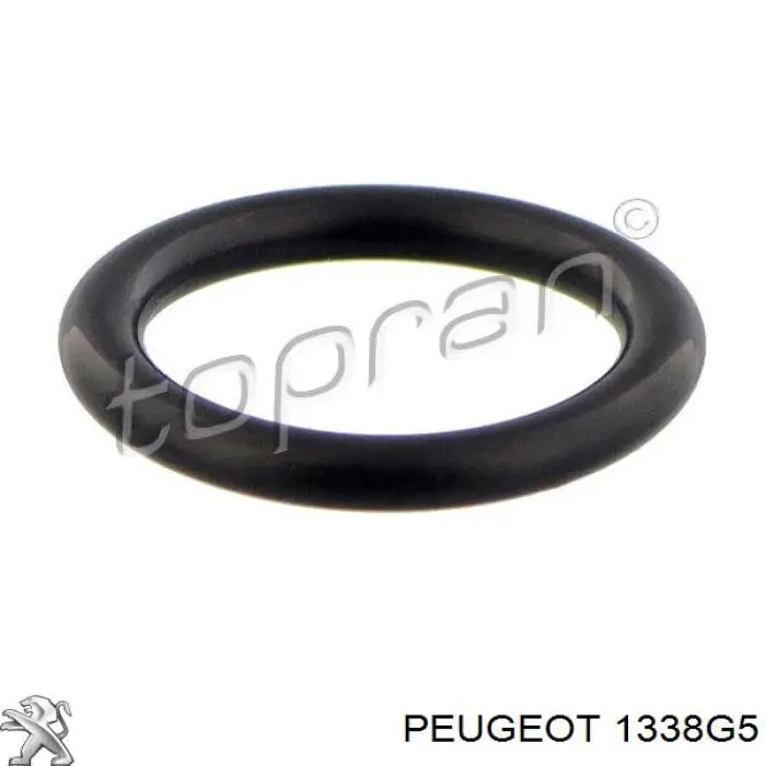 1338G5 Peugeot/Citroen прокладка фланця (трійника системи охолодження)