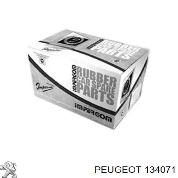 134071 Peugeot/Citroen ущільнююче кільце системи охолодження