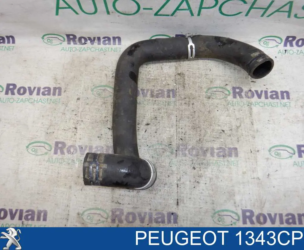 Купити 1343CP Peugeot/Citroen Шланг/патрубок радіатора охолодження, верхній